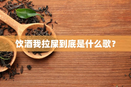 饮酒我拉屎到底是什么歌？
