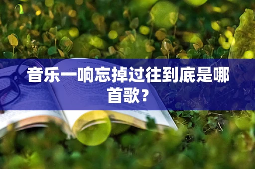 音乐一响忘掉过往到底是哪首歌？