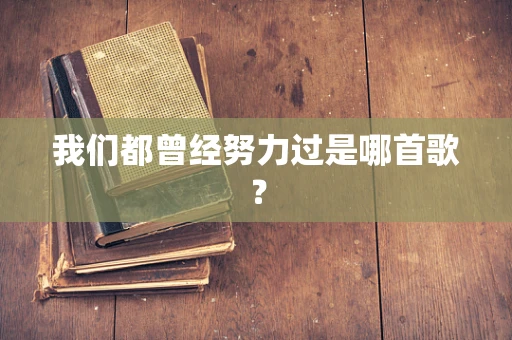 我们都曾经努力过是哪首歌？