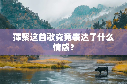萍聚这首歌究竟表达了什么情感？
