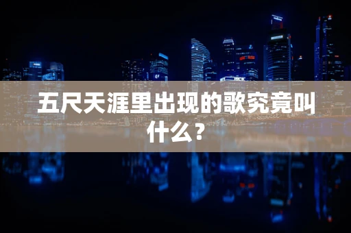 五尺天涯里出现的歌究竟叫什么？