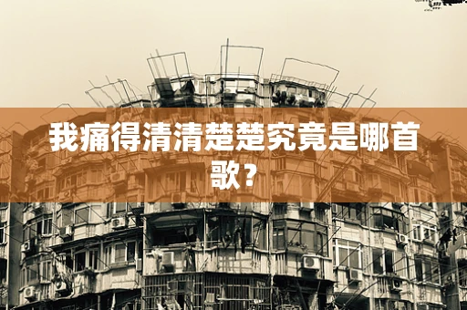 我痛得清清楚楚究竟是哪首歌？