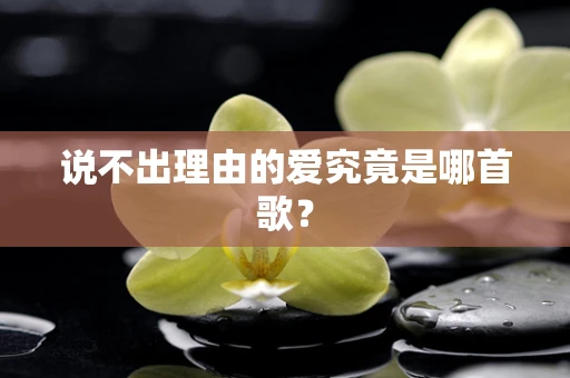 说不出理由的爱究竟是哪首歌？