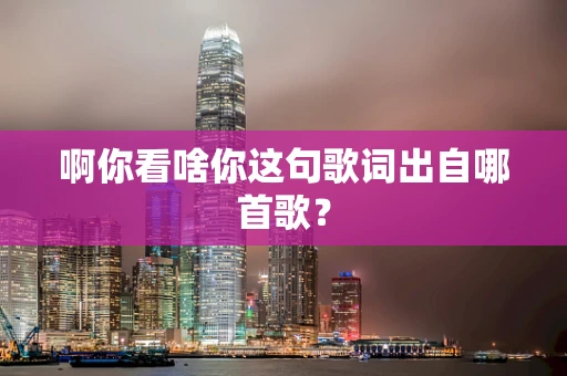 啊你看啥你这句歌词出自哪首歌？