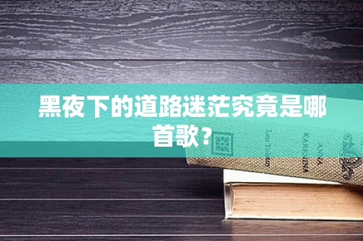 黑夜下的道路迷茫究竟是哪首歌？