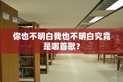 你也不明白我也不明白究竟是哪首歌？