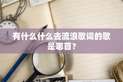 有什么什么去流浪歌词的歌是哪首？