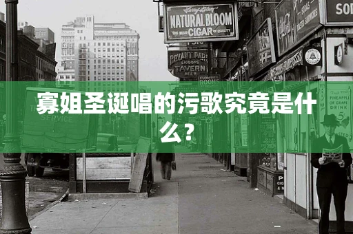 寡姐圣诞唱的污歌究竟是什么？