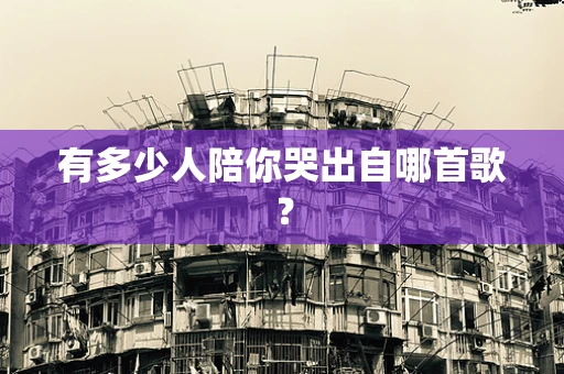 有多少人陪你哭出自哪首歌？