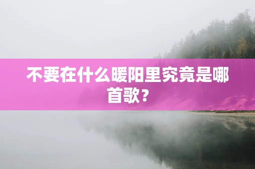 不要在什么暖阳里究竟是哪首歌？