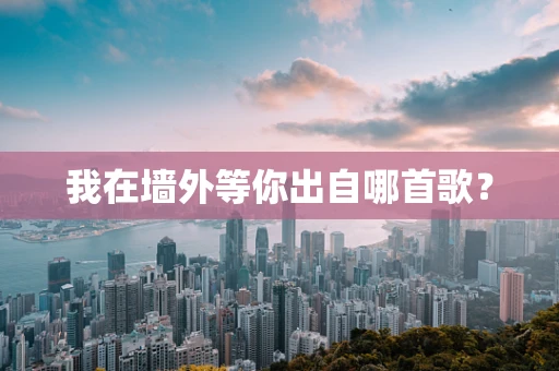 我在墙外等你出自哪首歌？