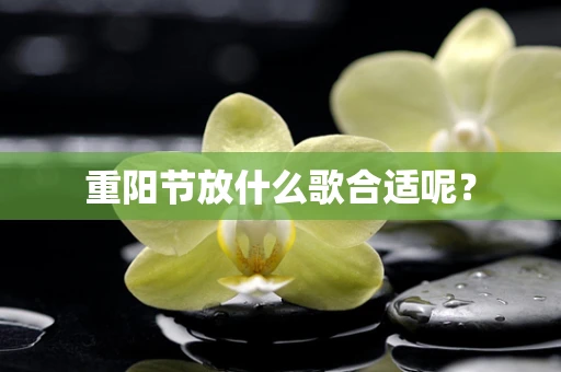 重阳节放什么歌合适呢？