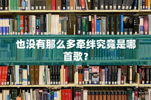 也没有那么多牵绊究竟是哪首歌？