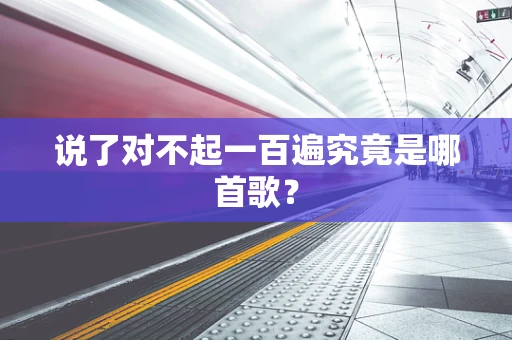 说了对不起一百遍究竟是哪首歌？