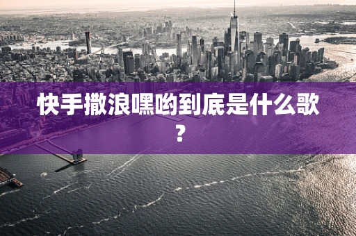 快手撒浪嘿哟到底是什么歌？