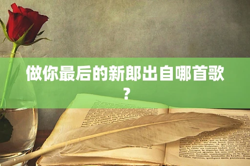 做你最后的新郎出自哪首歌？