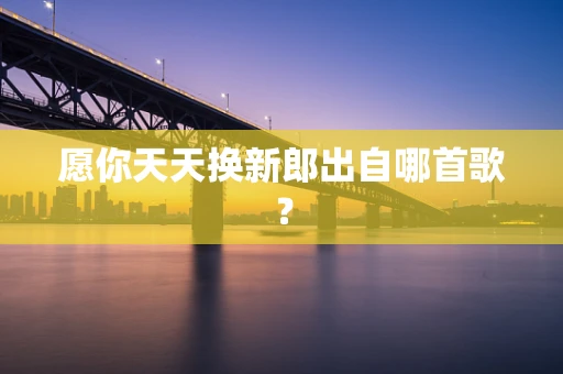 愿你天天换新郎出自哪首歌？