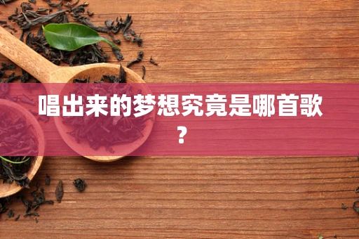 唱出来的梦想究竟是哪首歌？
