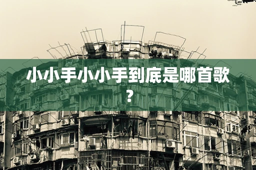 小小手小小手到底是哪首歌？