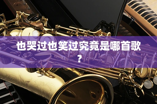 也哭过也笑过究竟是哪首歌？