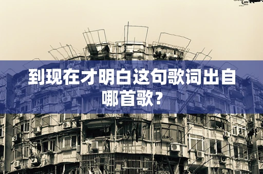 到现在才明白这句歌词出自哪首歌？