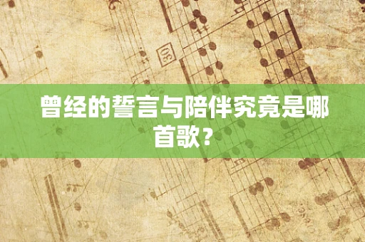 曾经的誓言与陪伴究竟是哪首歌？