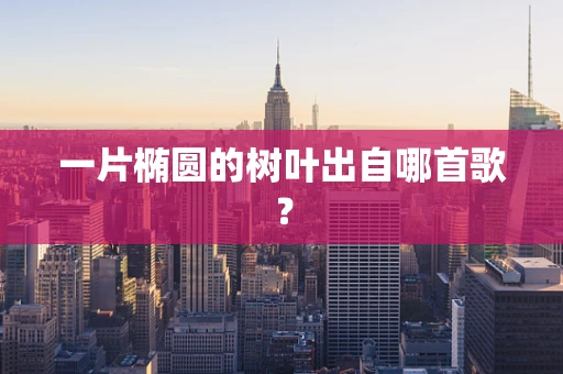 一片椭圆的树叶出自哪首歌？