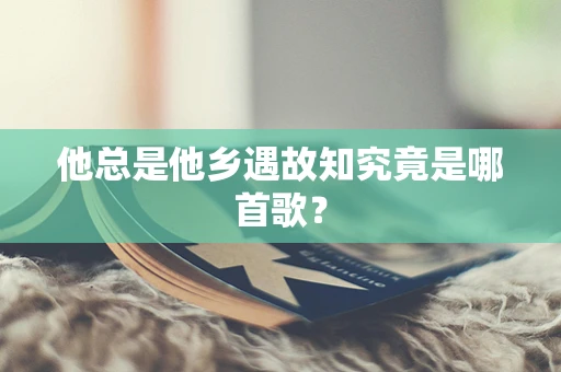 他总是他乡遇故知究竟是哪首歌？