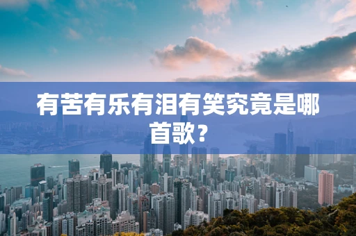 有苦有乐有泪有笑究竟是哪首歌？