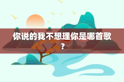 你说的我不想理你是哪首歌？