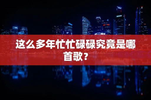 这么多年忙忙碌碌究竟是哪首歌？