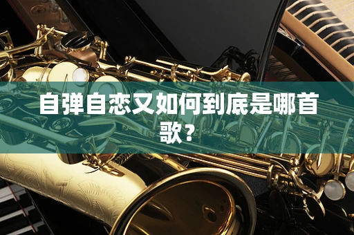 自弹自恋又如何到底是哪首歌？