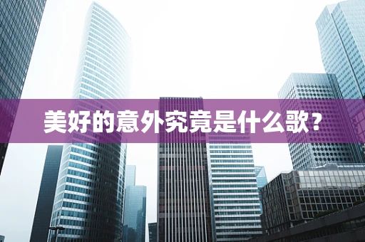 美好的意外究竟是什么歌？
