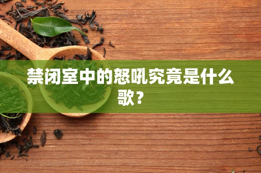 禁闭室中的怒吼究竟是什么歌？