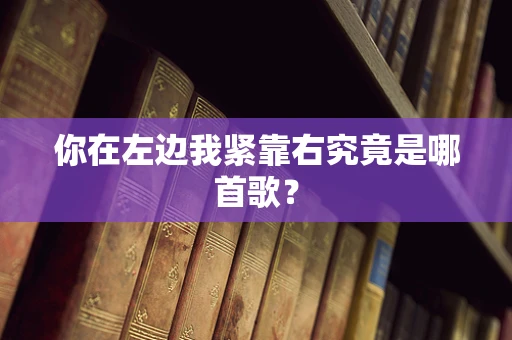 你在左边我紧靠右究竟是哪首歌？