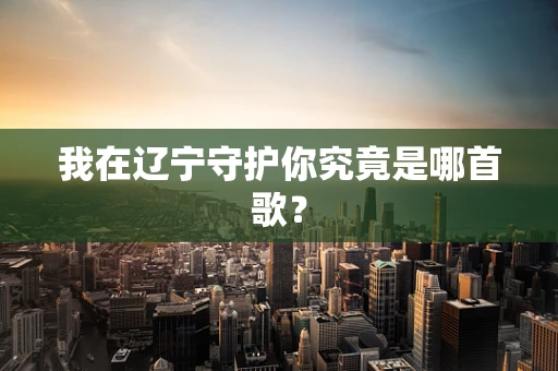 我在辽宁守护你究竟是哪首歌？