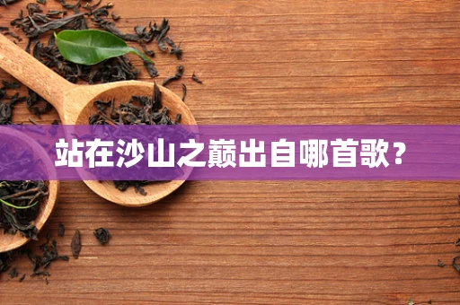 站在沙山之巅出自哪首歌？