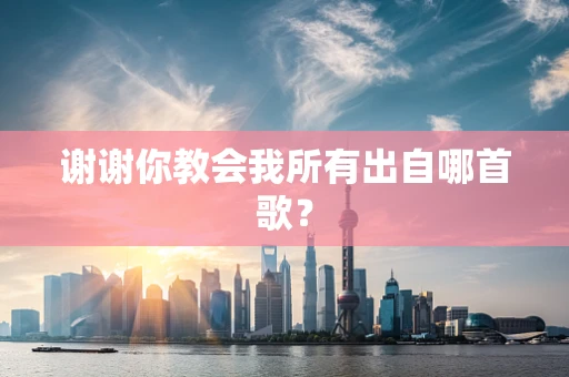 谢谢你教会我所有出自哪首歌？