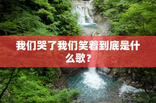 我们哭了我们笑着到底是什么歌？