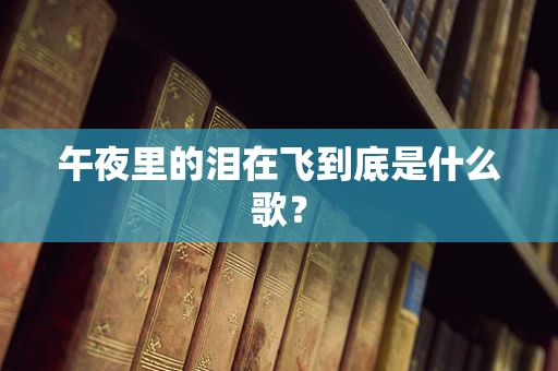 午夜里的泪在飞到底是什么歌？