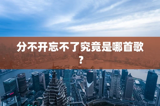分不开忘不了究竟是哪首歌？