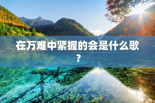 在万难中紧握的会是什么歌？