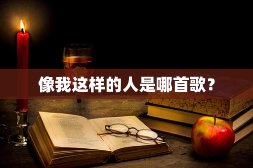 像我这样的人是哪首歌？