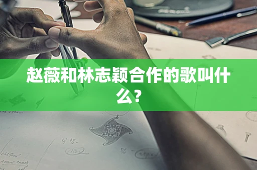 赵薇和林志颖合作的歌叫什么？