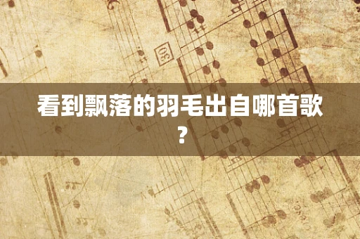 看到飘落的羽毛出自哪首歌？