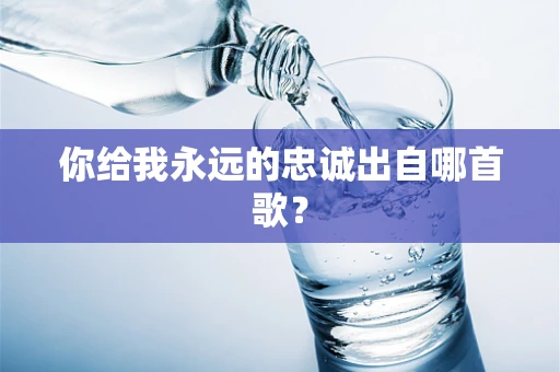 你给我永远的忠诚出自哪首歌？