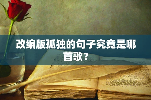 改编版孤独的句子究竟是哪首歌？
