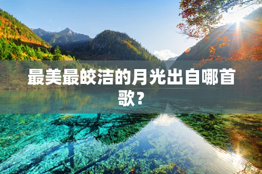 最美最皎洁的月光出自哪首歌？