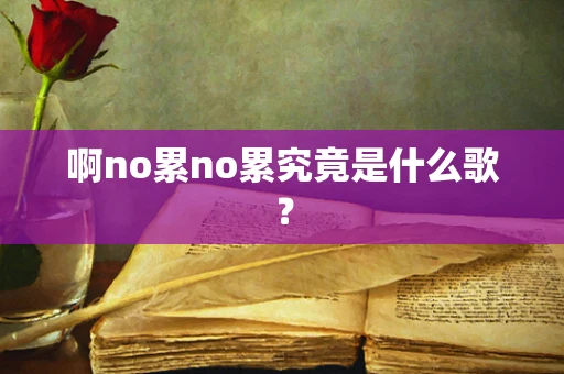 啊no累no累究竟是什么歌？