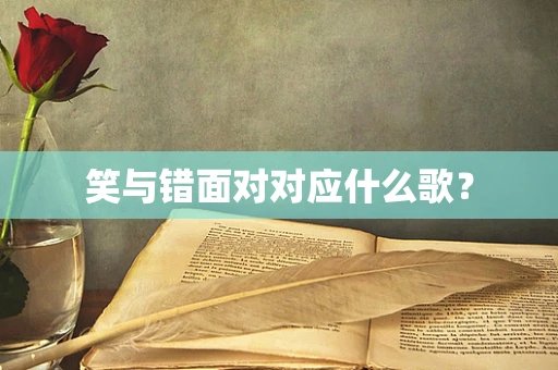 笑与错面对对应什么歌？